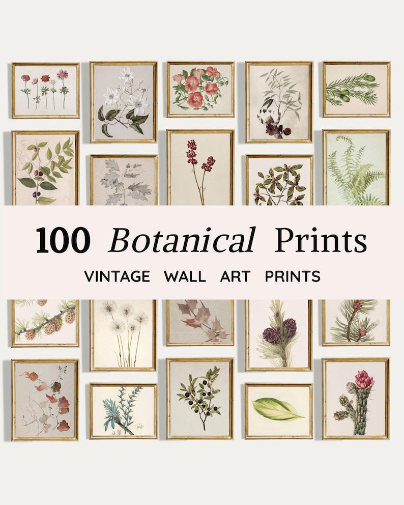 100 Botanical Prints Set | Floral Wall Art Bundle | Botanical Drawings ...
