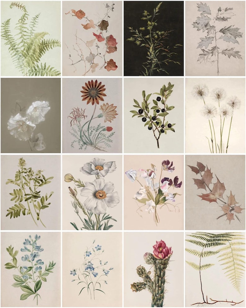 100 Botanical Prints Set | Floral Wall Art Bundle | Botanical Drawings ...