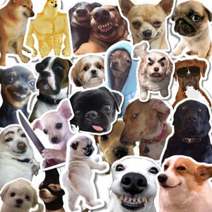Op de afbeelding: Een verzameling verschillende hondenstickers met humoristische uitdrukkingen. De stickers tonen verschillende rassen, waaronder een mopshond, chihuahua en corgi, met een reeks grappige gezichten en poses. De stickers hebben witte randen.