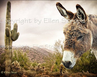 NOTE CARD Burro, Donkey, Blank Note Card, Gray, Donkey Decor, Burro Decor, Sweet, Cute, Western Decor