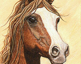 ACEO CARDS, Arabian Horses, Horse Decor, Ellen Strope, Horse Cards, Blank Cards