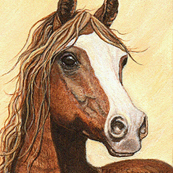 ACEO CARDS, Arabian Horses, Horse Decor, Ellen Strope, Horse Cards, Blank Cards