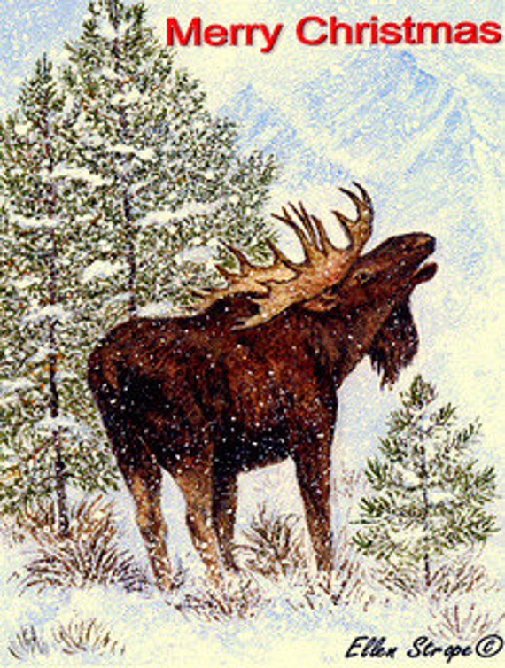 Moose Christmas Cards 