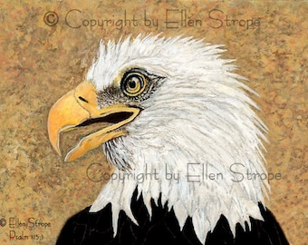 NOTE CARD, Eagle, bird decor, note cards, Ellen Strope, home decor,bird cards, wildlife, birds, bird art