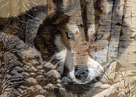 CARD, Note Card, Wolves, Multi Exposure, Aspen Trees, Wolf Decor, Ellen ...