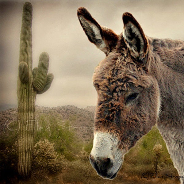 PRINT, Giclee Print, Donkey, Burro, Animal decor, Western decor, Ellen Strope, Southwest decor, Whoa Team, Cast Team