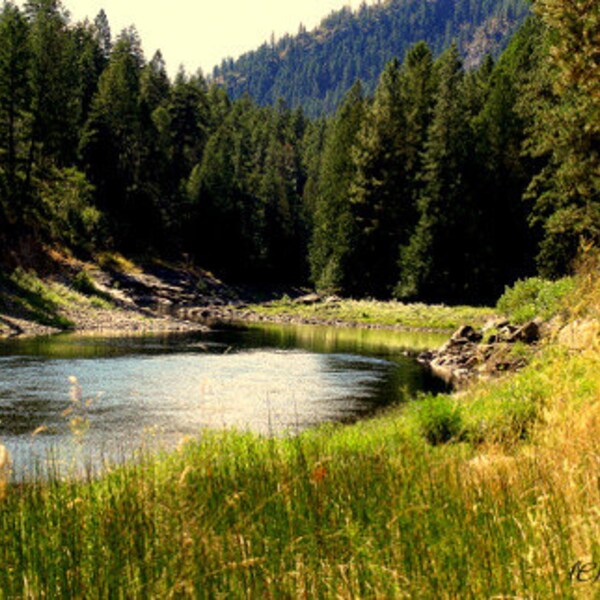 Photo CARD, landscape, northwest river,river, forests, mountains, trees, water, scenic, note card, blank note card, Ellen Strope scenic card