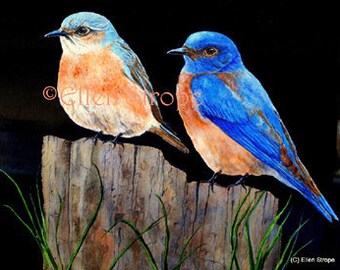 NOTE CARD, Blue Birds, Fence Post, Birds, Blue, Blank Note Cards, Home Decor, Lodge decor, Cabin Decor, Paper Goods