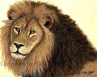 CARD, note card, lion, lion decor, big cat decor, wildlife decor,widlife, Ellen Strope, castteam, exotic wildlife