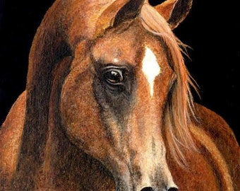 Horse Prints- 'Arabian Portrait' Giclee Print