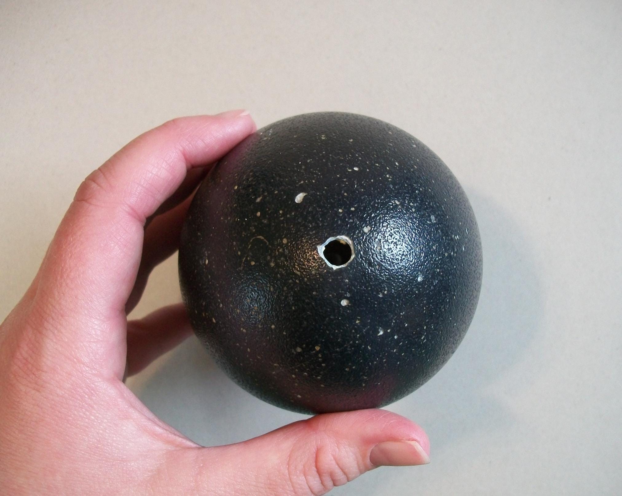 Real Emu Egg Shell Hollowed-out - Etsy
