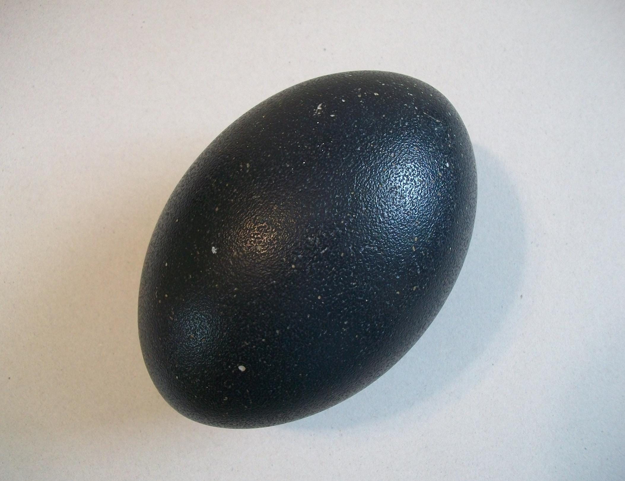 Real Emu Egg Shell Hollowed-out - Etsy