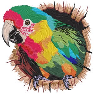 Colorful Parrot Embroidery Design, Parrot Machine Embroidery Files, Floral Parrot Embroidery Design, Tropical Parrot Embroidery Instant File