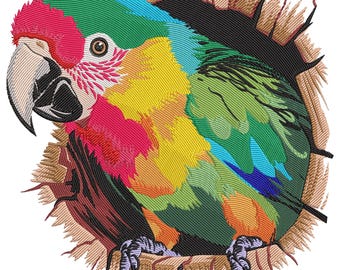 Colorful Parrot Embroidery Design, Parrot Machine Embroidery Files, Floral Parrot Embroidery Design, Tropical Parrot Embroidery Instant File