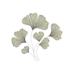 May include: A botanical illustration of ginkgo leaves in a minimalist style. The leaves are a muted green with fine, parallel lines, and the stems are thin and dark against a white background. The design is elegant and nature-inspired.