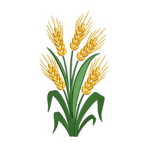 May include: An embroidered design of wheat stalks with golden yellow grains and green leaves. The wheat is arranged in a bouquet, with the leaves at the base. The design is on a white background.