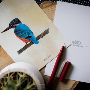 Eurasian Kingfisher A6 postcard: bird illustration, bird art