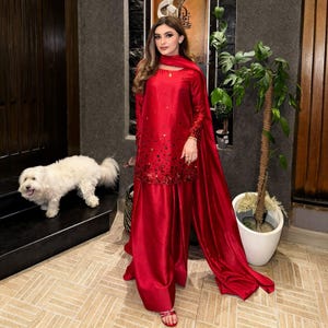 Red Pakistani Designers Formal Dresses Red Formal Suit Pakistani