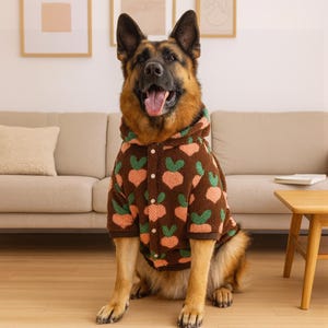 May include: A German Shepherd dog wearing a brown hooded jacket with a pattern of orange and green carrots. The dog is sitting on a wooden floor in front of a beige couch.