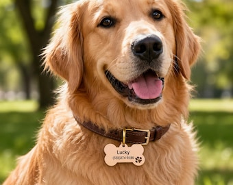 Huisdieridentificatieplaatje van roestvrij staalbot, holle pootafdruk hondenpenning, op maat gegraveerd naamplaatje kat, anti-verloren halsbandbedel huisdier