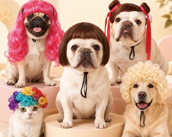 May include: A group of dogs and a cat wearing various wigs. One pug wears a long hot pink wig, another pug has a brown bob with bangs, a bulldog wears a brown wig with red ribbons, a cat wears a rainbow afro wig, and a golden dog wears a blonde afro.