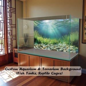 Peut inclure: Un grand aquarium rectangulaire en verre avec un fond personnalisé représentant une scène sous-marine avec des plantes aquatiques vertes, un lit de rivière rocheux et des rayons de soleil filtrant à travers la surface de l'eau sur un meuble en bois.