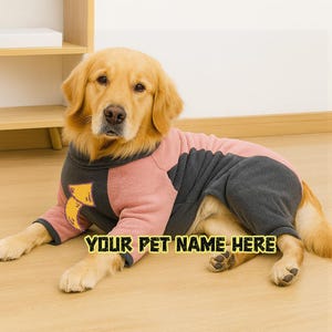 Può includere: Un Golden Retriever indossa un maglione rosa e grigio per cani. Il maglione ha un design a freccia gialla e il testo "YOUR PET NAME HERE" in giallo. Il cane è sdraiato su un pavimento di legno.