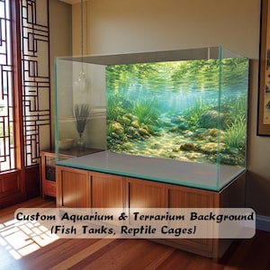 Peut inclure: Un grand aquarium rectangulaire en verre avec un fond personnalisé représentant un lit de rivière sous-marin ensoleillé, des rochers, des plantes aquatiques vertes et des rayons de lumière filtrant à travers l'eau, posé sur un meuble en bois.