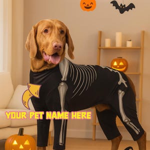 Puede incluir: Un perro marrón con un disfraz de esqueleto negro con detalles de huesos blancos. El disfraz tiene mangas largas y pantalones. El texto "YOUR PET NAME HERE" se muestra en rosa y amarillo. Decoraciones de Halloween en el fondo.