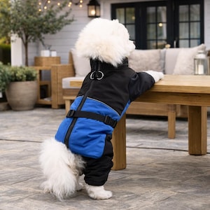 Warme winterhondenjas voor kleine honden, waterdicht gewatteerd hondenjack, dik geïsoleerd sneeuwpak voor huisdieren, hondenkleding voor koud weer