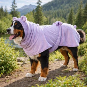 Peut inclure: Un bouvier bernois portant une robe pour chien violet clair avec une capuche et des oreilles d'ours. Le chien se tient sur un sentier de terre avec un feuillage vert et un lac en arrière-plan. La robe a une fermeture à nouer et une couverture de queue.