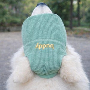 May include: A pale green corduroy dog hat with the word "Buddy" embroidered in gold. The hat is worn by a white dog. The hat has a rounded shape and covers the dog's ears and forehead.