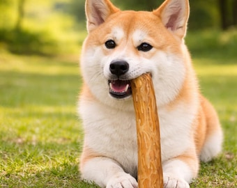 Natural Coffee Wood Durable Dog Chew Toy | Teeth Cleaning & Interactive Training