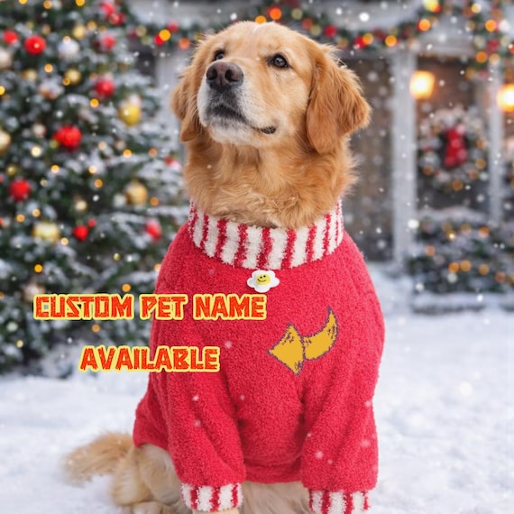 free crochet pattern for small dog sweater Free Easy Red Heart Dog Sweater Crochet Pattern