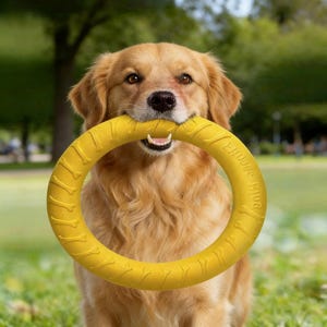 Puede incluir: Un perro golden retriever sosteniendo un juguete para perros amarillo en forma de anillo en la boca. El juguete tiene una superficie texturizada y las palabras "Ellmoose Kivo" impresas. El perro está en un parque con hierba verde y árboles al fondo.