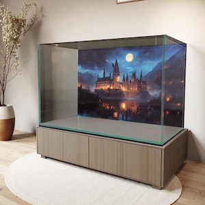 Puede incluir: Una gran vitrina de cristal transparente con base de madera. El interior presenta un telón de fondo escénico de un castillo de noche, iluminado por la luna llena. La vitrina se encuentra sobre una alfombra de color claro, con una planta decorativa en el fondo.