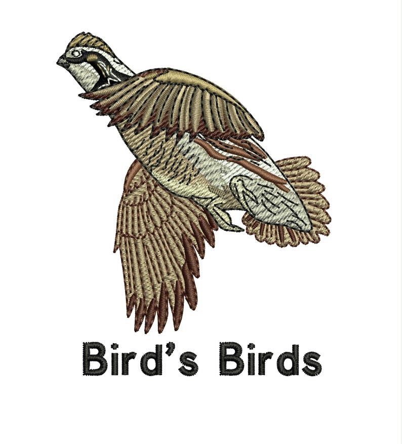 Custom Embroidery Digitizing, Logo Digitizing, Embroidery Digitizing Service, Image Digitizing Embroidery, Custom Digitize image 8