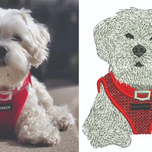 May include: A small, fluffy white dog wearing a red harness with the word "VOYAGER" on it. The dog is sitting on a concrete surface, looking directly at the camera. The harness has reflective strips.