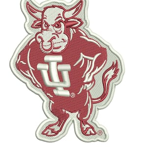 Custom Embroidery Digitizing, Logo Digitizing, Embroidery Digitizing Service, Image Digitizing Embroidery, Custom Digitize image 7