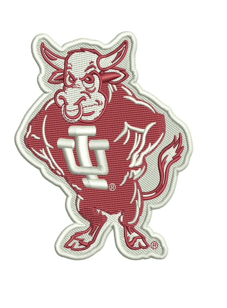 Custom Embroidery Digitizing, Logo Digitizing, Embroidery Digitizing Service, Image Digitizing Embroidery, Custom Digitize image 7