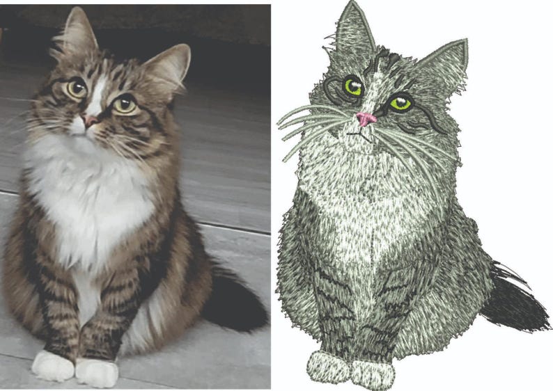 May include: A tabby cat with brown and white fur, sitting and looking upwards. The cat has yellow eyes and a white chest. Next to it is an embroidered image of a similar cat in shades of grey.
