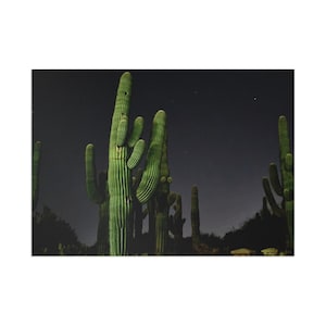 Desert Oasis Fine Art Postcards, Nature Imagery Greetings, Unique Art Print Cards, Southwestern Home Decor, Eco-Friendly Stationery
