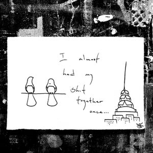 Pigeon be Pigeon Cartoon - I almost had my shit together once