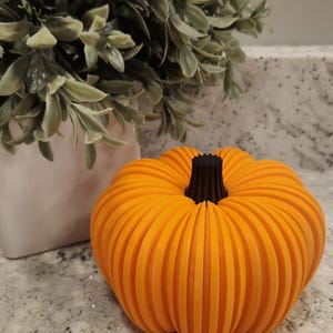 May include: An orange, ribbed pumpkin with a black stem. The decorative pumpkin is a fall-themed item, perfect for seasonal home decor. The pumpkin is approximately 6 inches in diameter.