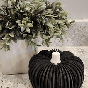 May include: A black, ribbed pumpkin decoration with a white stem sits on a countertop. A white square pot with green leafy plants is in the background. The pumpkin is a fall-themed decorative item.