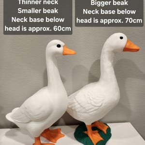 May include: Two white goose figurines with orange beaks and feet. The left goose has a thinner neck and smaller beak, with a neck base below head of approx. 60cm. The right goose has a thicker neck, bigger beak, and a green base, with a neck base below head of approx. 70cm.