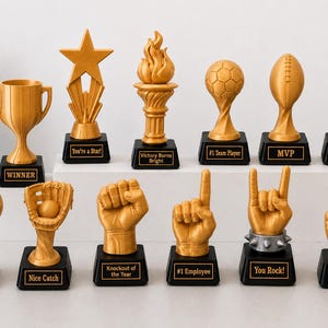 Custom 3D Printed Trophy, Personalized Award, Office Prize