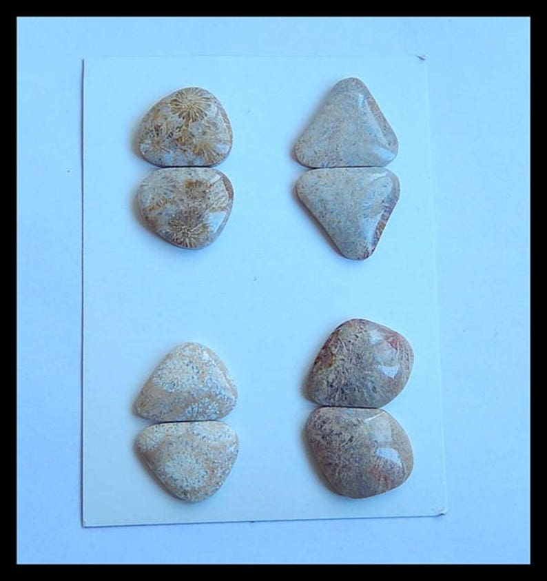 SALE,4 Pairs Indonesian Fossil Coral Gemstone Cabochons,21.1g Cpa514