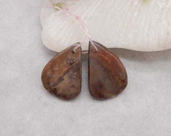 Natural Ammonite Fossil Gemstone Earring Beads, Unique Stone Earring Pair, Jewelry DIY Making, 23x17x4mm, 4g - E16466