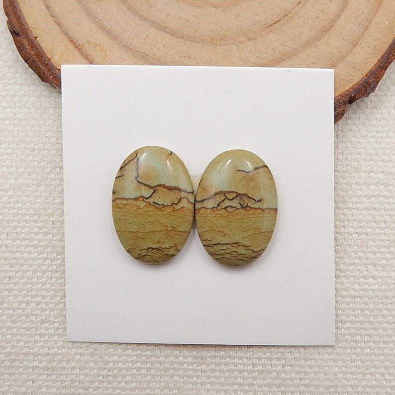 Natural Gemstone US Biggs Picture Jasper Cabochon Pair New 17x12x3mm 1.8g Y5947